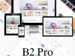 wordpress主题之7B2 PRO主题5.4.2免授权版-墨非网