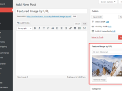 wordpress插件之Featured Image by URL(外链图片替代本地特色图片)-墨非网