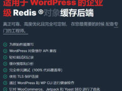 WordPress插件之Redis Object Cache Pro V1.21.2.1-墨非网