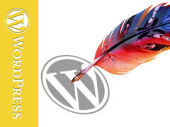 禁止加载WordPress自带jquery库-墨非网