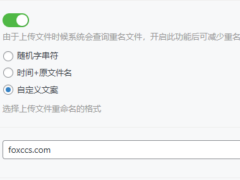 子比主题美化之附件自定义添加前缀名-墨非网