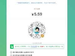 个人收款码/赞赏码实现免签约微信支付接口源码（可用于付费进群）美化版-墨非网