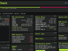 网站功能强大一体化测试工具-Web Check-墨非网