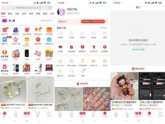 拼多多国际版-无广告无多余界面-墨非网