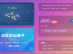 子比主题美化-添加宣传子比主题购买页面-墨非网